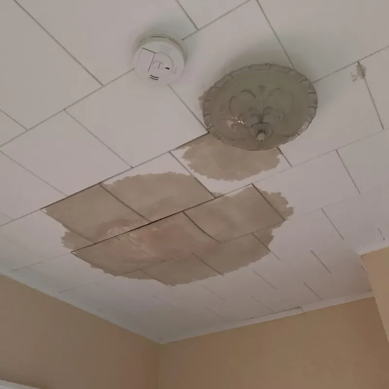 Ceiling Water Damage Repair in Zimmerman, MN
